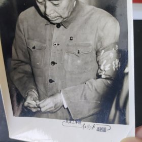 天津工学院红卫兵援影组拍摄周恩来总理佩戴双层红卫兵袖标黑白老照片105x770毫米表面泛银稀少珍品