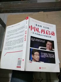 龙永图 白岩松 中国再启动