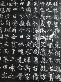 李唐宗室 淮安王李寿孙子李璲墓志拓片,文字部分53厘米,墨拓部分87厘米。         第五子岐州扶风县承李延業书丹。         李璲是淮安王李神通即李寿孙子,李孝同第三子。其解褐授恒州九门县令,迁晋州汾西县令。       夫人高氏,乃名相高士廉之孙,户部尚书驸马都尉高履行之女。