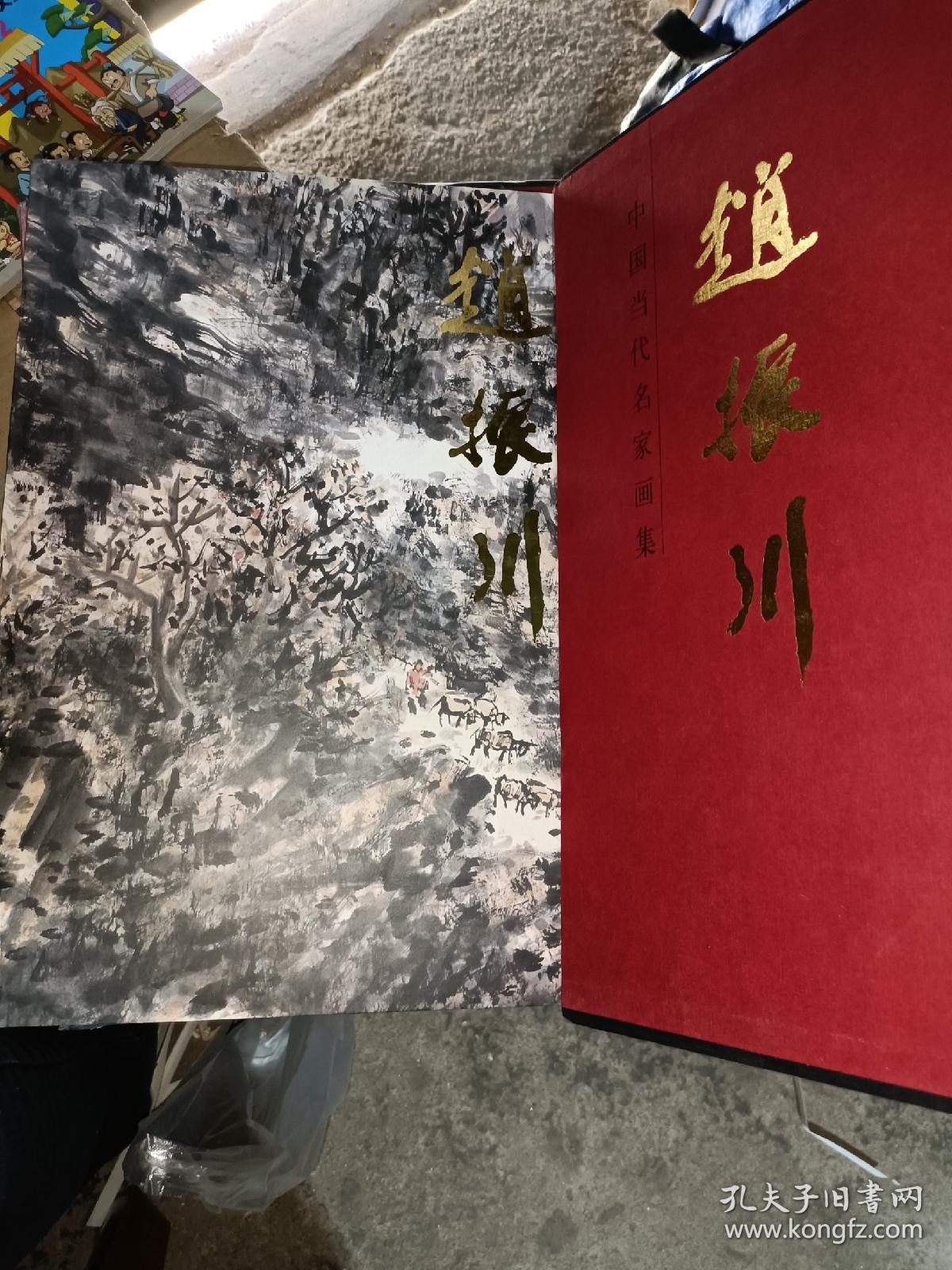 中国当代名家画集· 赵振川(8开函装）