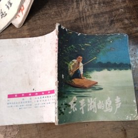 东手湖的鸟声