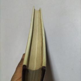 石达开:天国悲歌