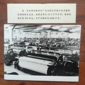 1982年，中国最大的亚麻纺织厂--黑龙江哈尔滨亚麻纺织厂（建国初苏联援建156项重点工程之一）织布车间一角