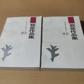 中篇小说选刊获奖作品集(上下)