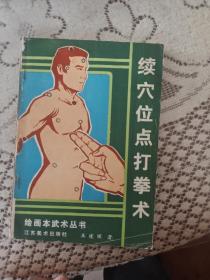 绘画本武术丛书穴位点打拳术