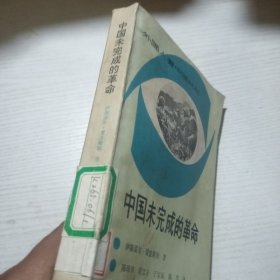 中国未完成的革命