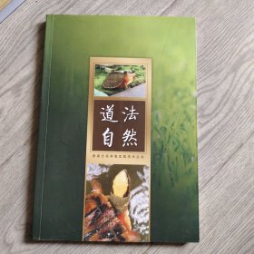 道法自然 顺德志哥养龟实践技术丛书