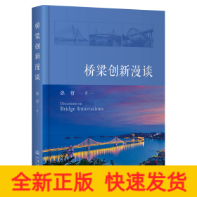 桥梁创新漫谈