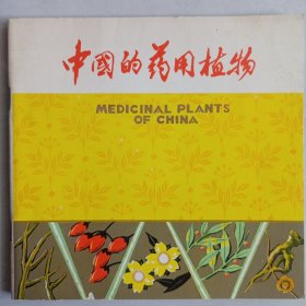 中国的药用植物 私藏品好自然旧品如图