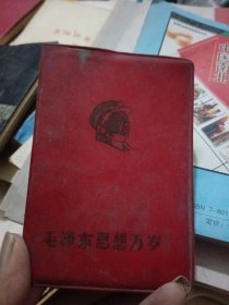 毛澤東思想萬(wàn)歲