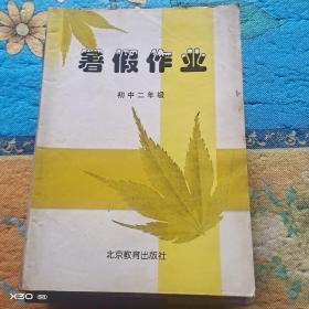 暑假作业初中二年级