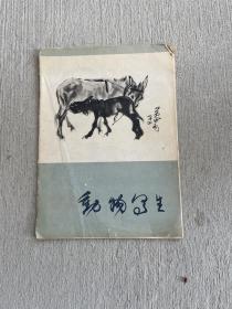 动物写生