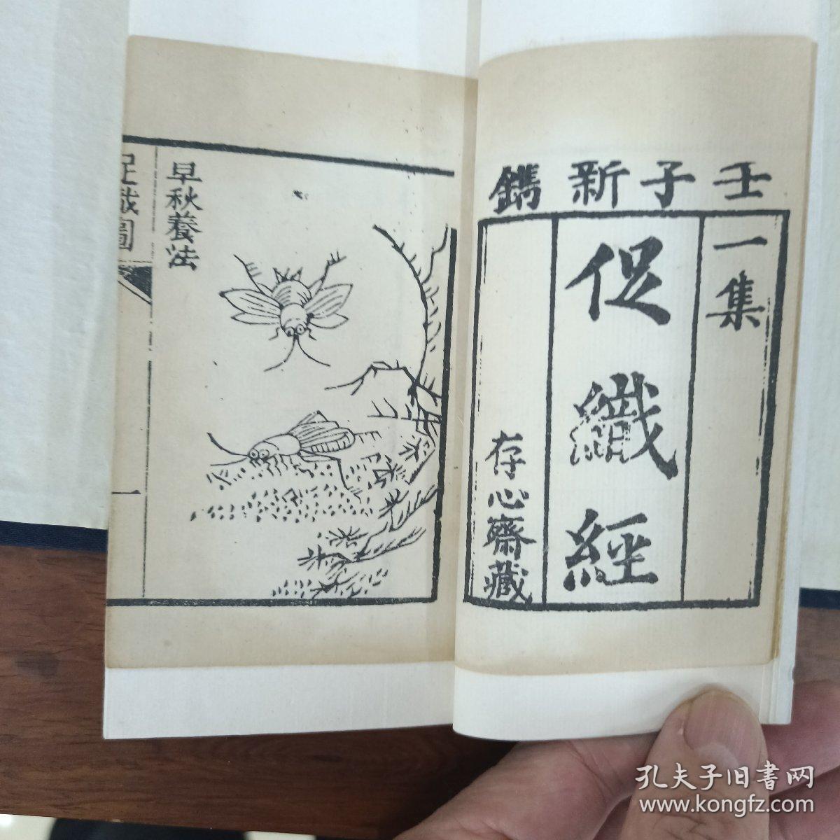 道光白纸精刻一一四生谱一函八册一套全，含促织经黄头誌画眉谱鹌鹑论，金镶玉装，品好见图