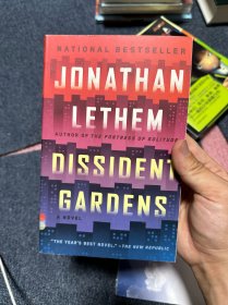jonathan lethem dissident gardens
