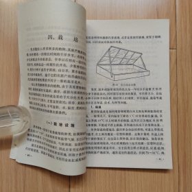 仙人掌和多肉植物 仙人掌花卉 两本合售
