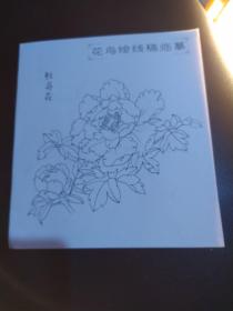 花鸟绘线稿临摹。牡丹花