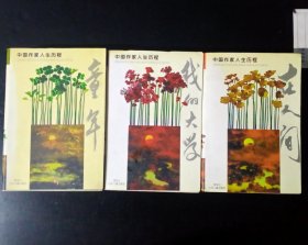 中国作家人生历程系列三本合售：童年，在人间，我的大学