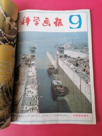 科学画报：1981年第7、8、9、11、期（四册合订）