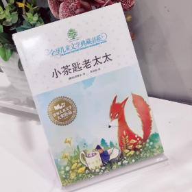 小茶匙老太太：全球儿童文学典藏书系