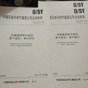 中国石油天然气集团公司企业标准 Q/SY 1254.13-2011 内部通用审计规范-第2部分 后续审计、第8部分 审计统计、第9部分 审计评价、第10 部分 审计信息、第13部分 审计作业控制、第14部分 审计文件控制、第15部分 分析性复核、第16部分 审计抽样、第17部分 重要性与审计风险、9本