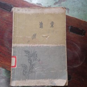 追求（短篇小说集）