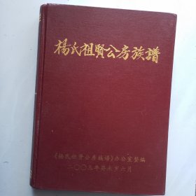 杨氏族谱--杨氏祖贤公房族谱(陕西“关西孔子”----怀化靖州“飞山王”杨再思--贵州天柱土司王--