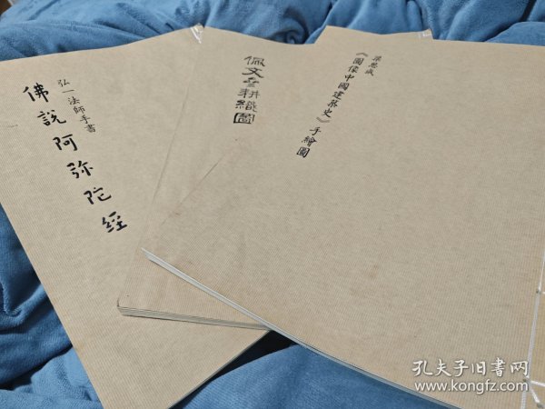图像中国建筑史、佩文齐耕织图、佛说阿弥陀经三本打包出，宣纸版线装，很大尺寸
