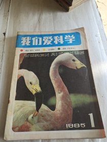 我们爱科学1985年1-6期