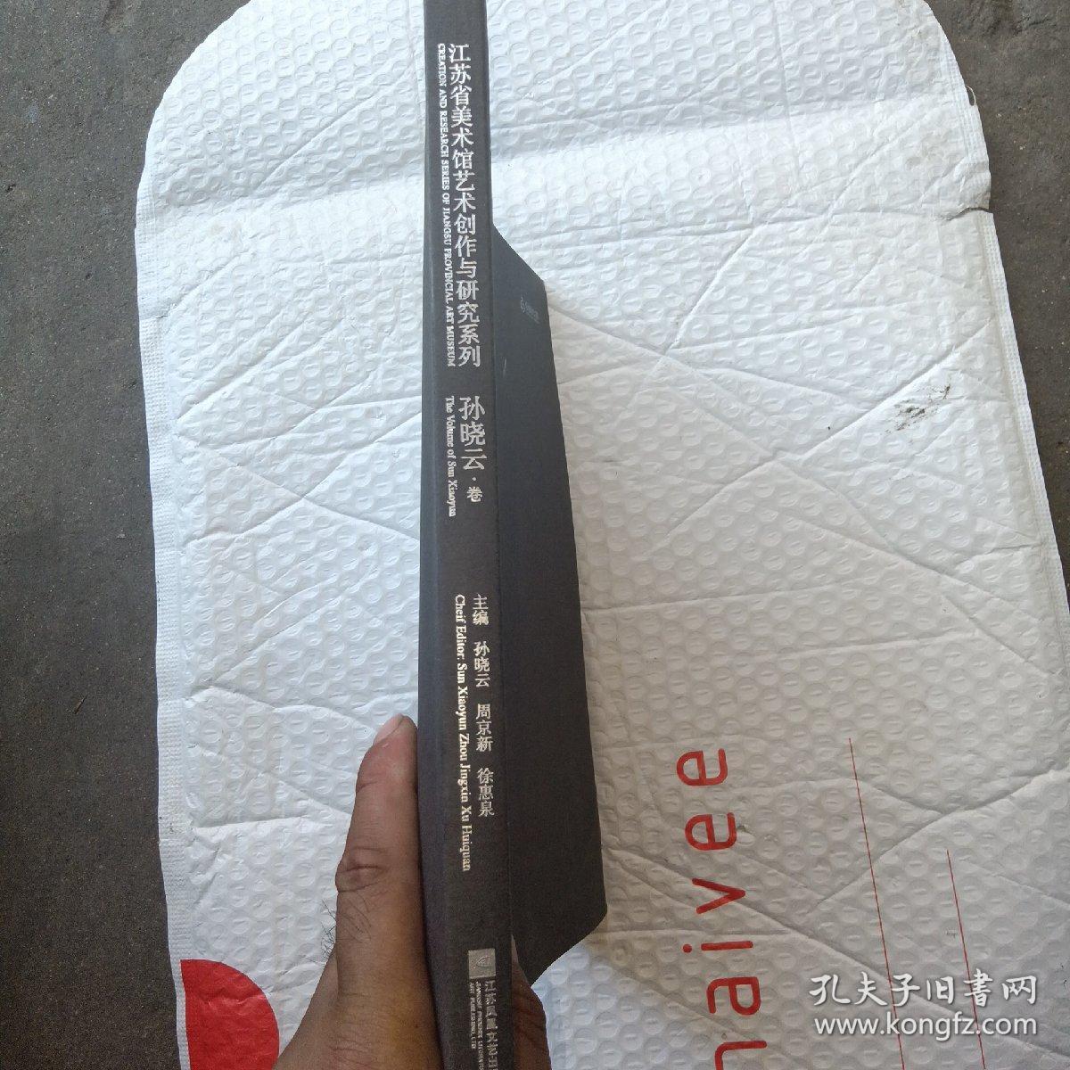 江苏省美术馆艺术创作与研究系列（孙小云）卷