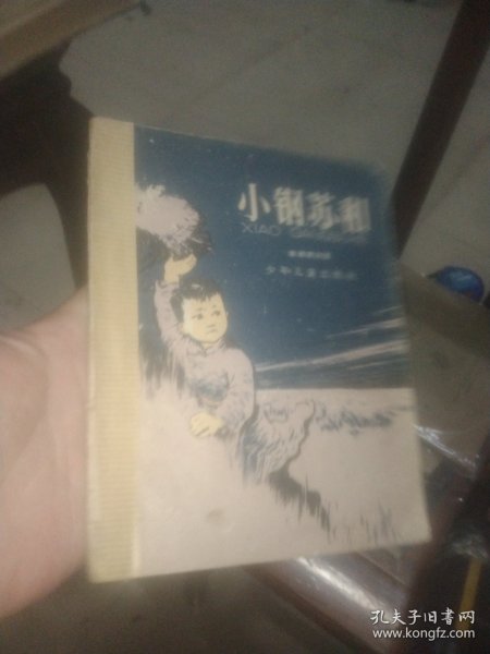 小钢苏和 大塑料袋
