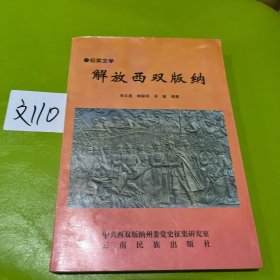 解放西双版纳:纪实文学