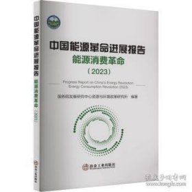 中国能源革命进展报告：能源消费革命（2023）