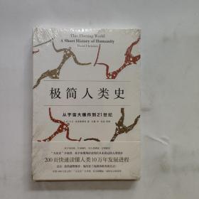 极简人类史：从宇宙大爆炸到21世纪
