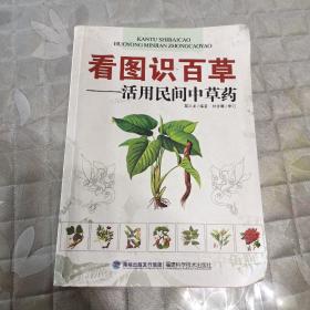 看图识百草：活用民间中草药