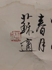 苏适（1935年6月—），男，九三学社社员，书法家。曾任中国书法家协会理事、北京市文联理事、北京书法家协会秘书长、北京市文史研究馆馆员。书法作品被收入《当代中国书法作品集》《中国书法大观》《当代中国名家书画宝鉴》，以及在日本出版的《中国当代墨宝集》等书法专集，出版专著《苏适行楷古赋六篇》。多幅书法作品被人民大会堂、国家博物馆、首都博物馆、故宫博物院、中国美术馆等收藏。