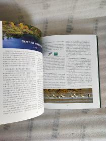 湿地：人与自然和谐共存的家园-中国湿地保护