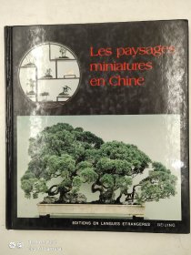 LES PAYSAGES MINIATURES CHINE法语