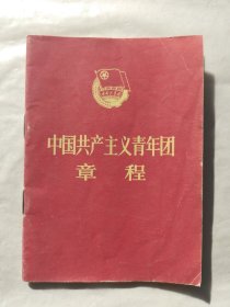 中国共产主义青年团章程（1982年）