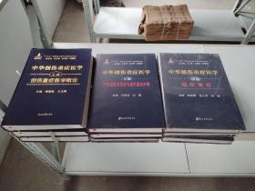 中华创伤重症医学 上中下三卷 创伤重症医学概论  创伤重症 严重创伤并发症与创伤重症护理