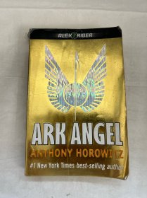 Ark Angel