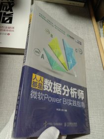 人人都是数据分析师：微软Power BI实践指南