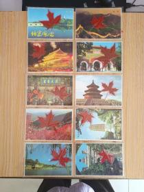 北京风光 红叶标本(10张 内塑红叶)