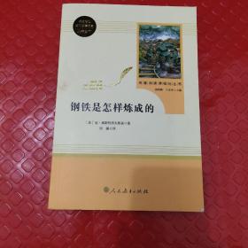 统编语文教材配套阅读 八年级下：钢铁是怎样炼成的/名著阅读课程化丛书