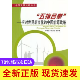 “五指合拳”:應(yīng)對世界新變化的中國能源戰(zhàn)略