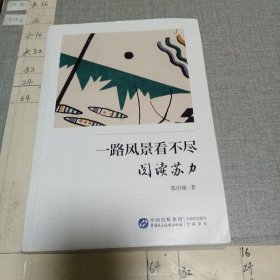 一路风景看不尽：阅读苏力