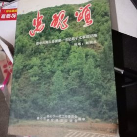 忠魂颂-原中共离山县委第一书记赵子文事迹记略