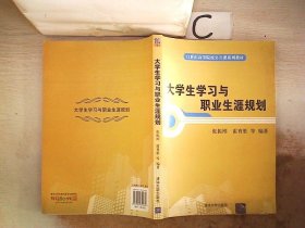 大学生学习与职业生涯规划/21世纪高等院校公共课系列教材