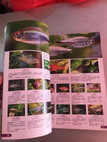 世界热带鱼图鉴：700种热带鱼饲养与鉴赏图典（无书衣）
