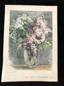 老画片 《 丁香花 》萧淑芳作 （样本）（ff5箱）。