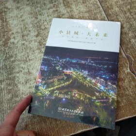 小县城·大未来 ：站位城市·谋划 未开封